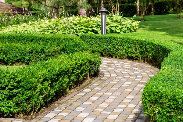 Cost of Paved Landscaping in Oxnard