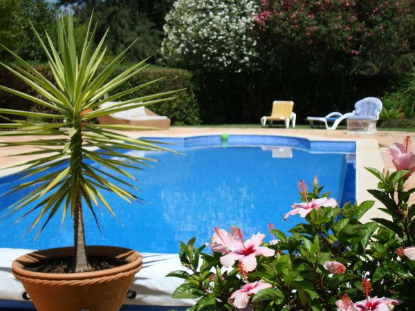 Cost of Pool Terrace Renovation in Oxnard