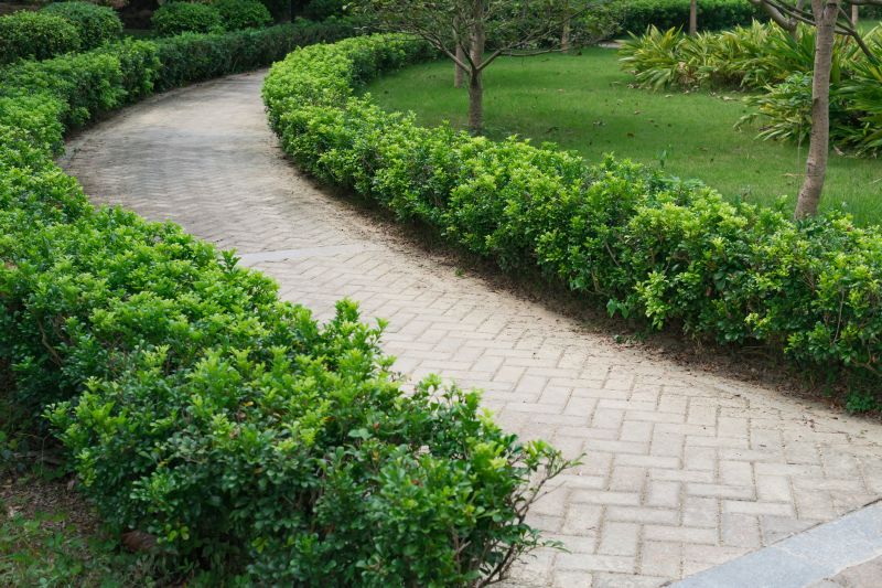Pathway Paving